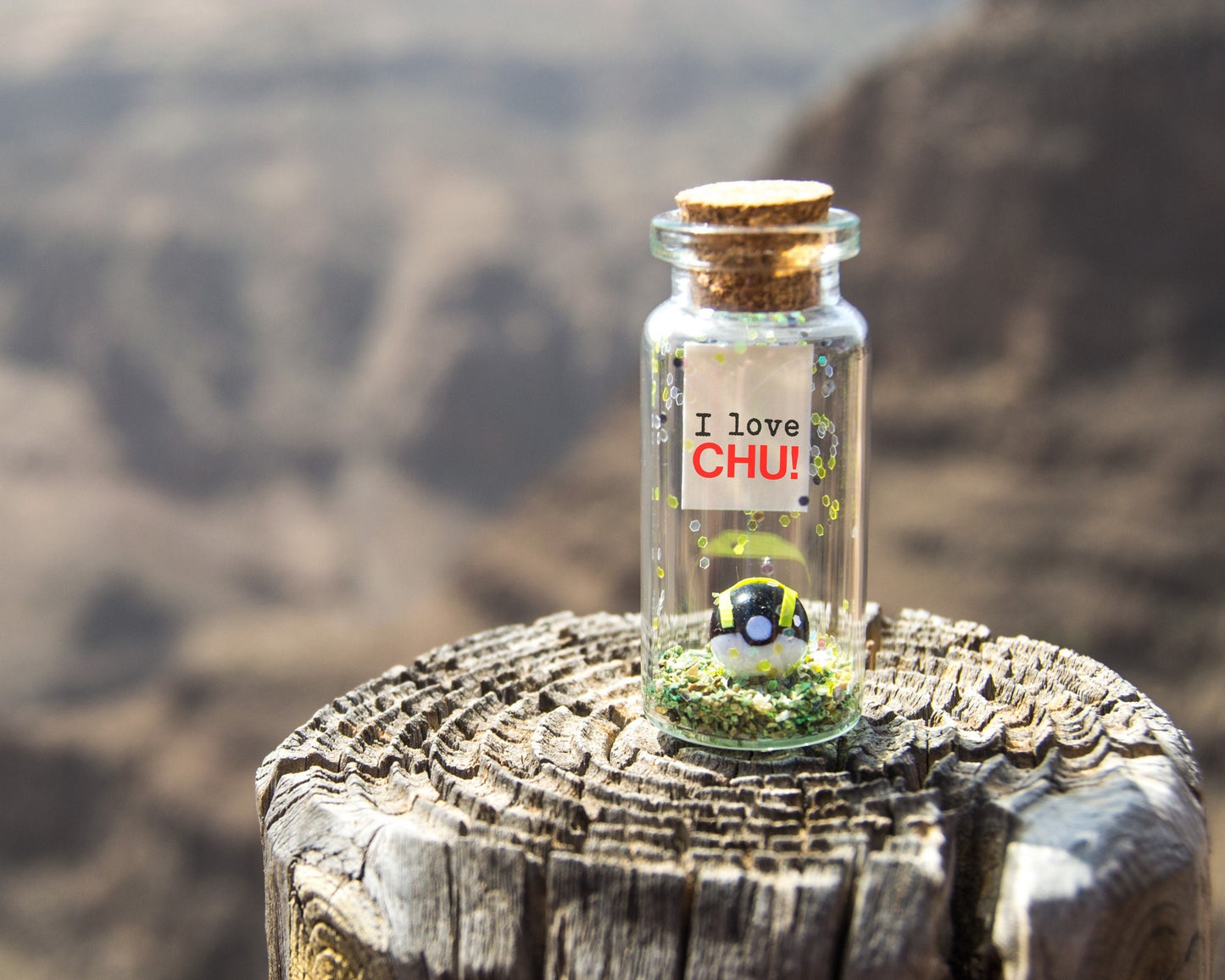 Personalized Photo Gift Bottle: I Choose You Keepsake