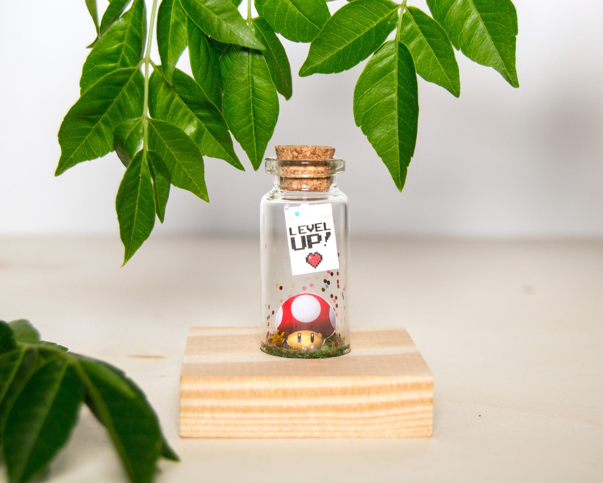 Personalized Gamer Gift: Mario Mushroom Anniversary Bottle